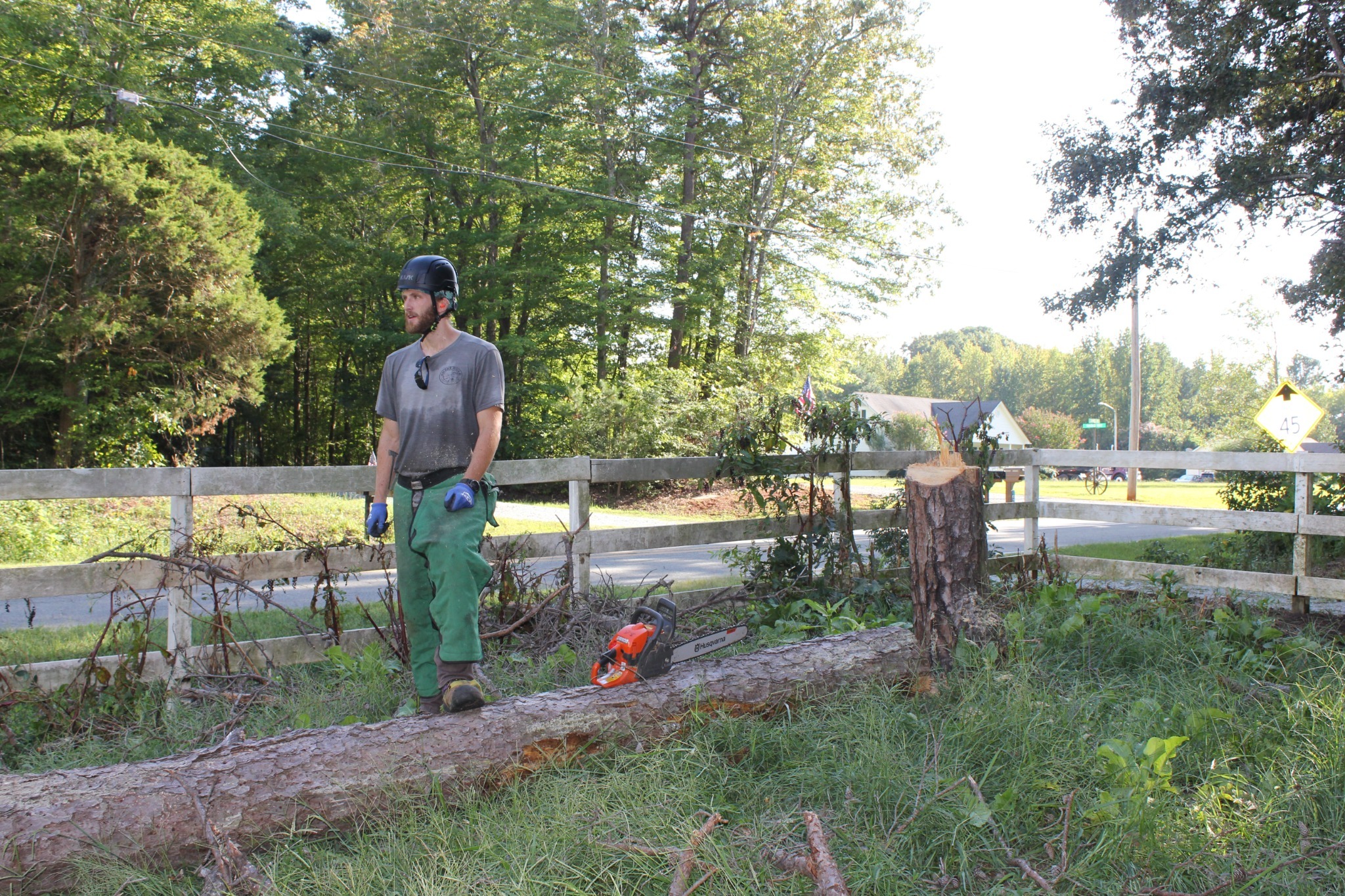 Arborist standing beside completed tree work