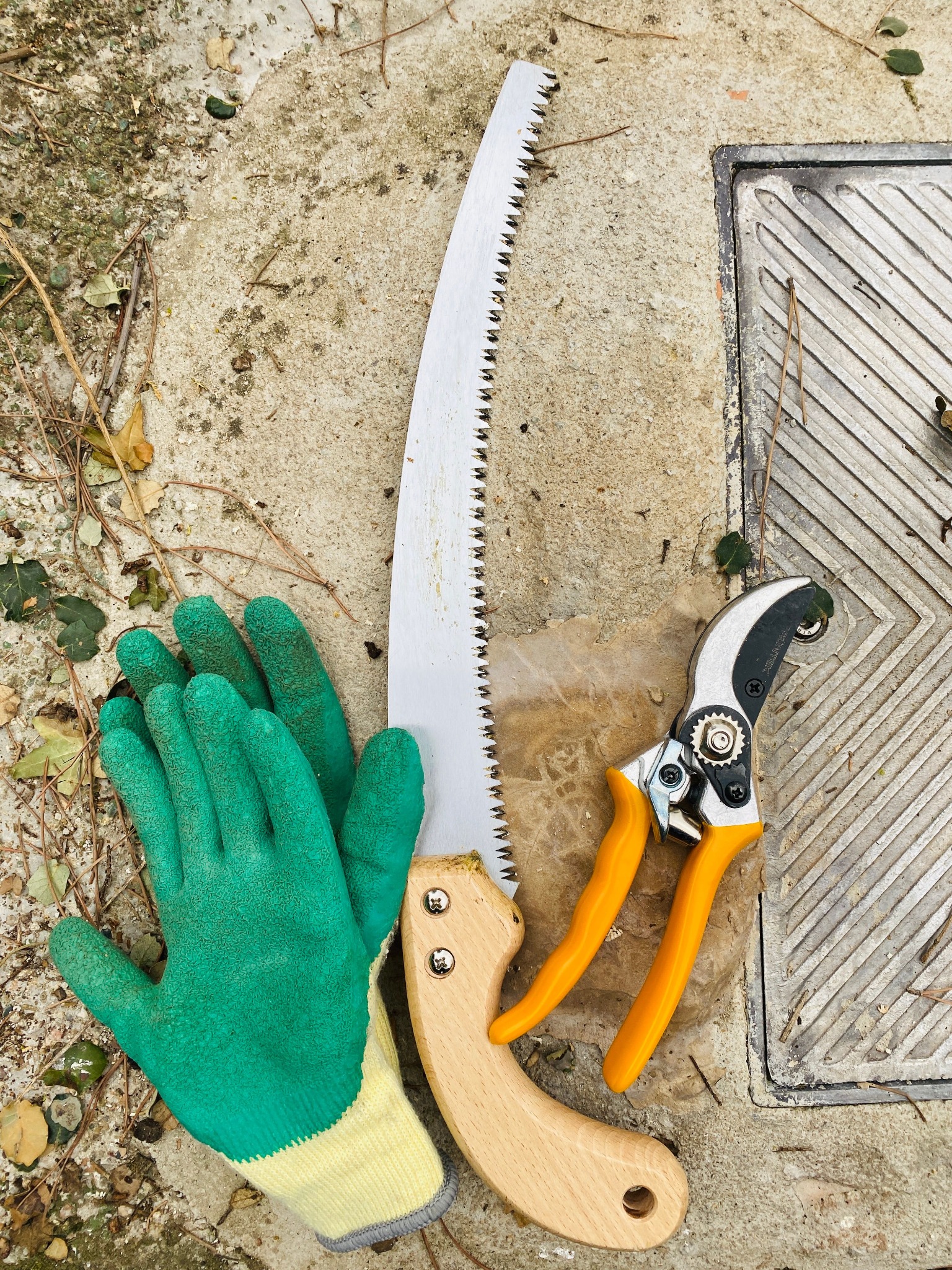 Pruning saw, hand pruners and work gloves